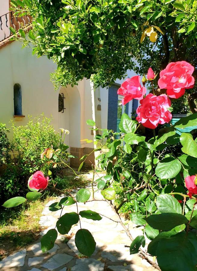 Studio Au Calme Tout Confort Proche Des Plages - Jardin Wifi Parking Fréjus エクステリア 写真